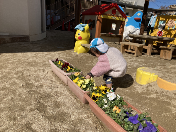 1歳児クラス　のびのびと戸外遊びを楽しんでいます。