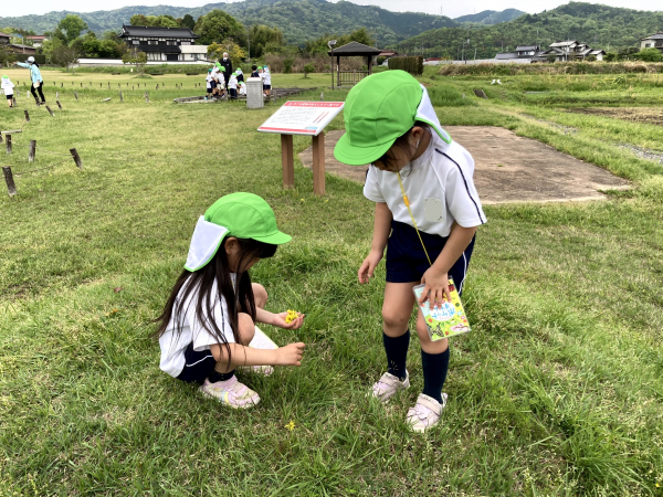 草花採集に行きました。