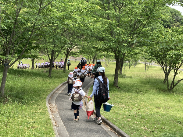 森林公園遠足に行ってきました。（年中組）