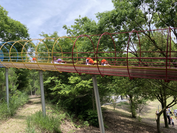 森林公園遠足に行ってきました。（年中組）