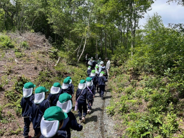 福富の森林を散策しました（年長）