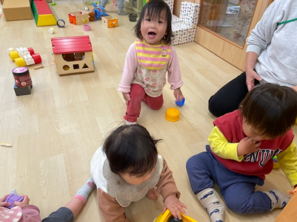 今週の様子