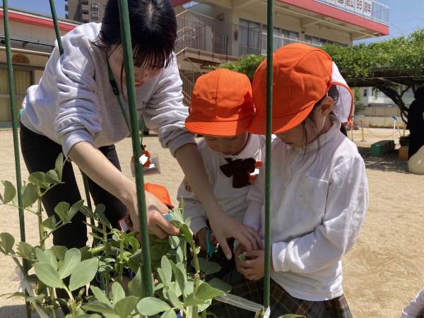 年中組さんの野菜ウィーク