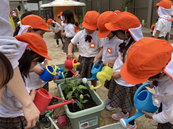 年中組さんの野菜ウィーク