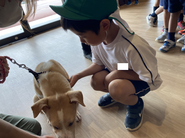 社会見学へ行ってきました