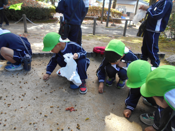 落ち葉拾い遠足に行ったよ！！