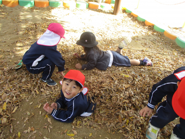 園庭で季節の変化を感じています！